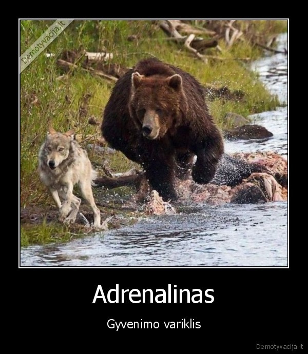 Adrenalinas