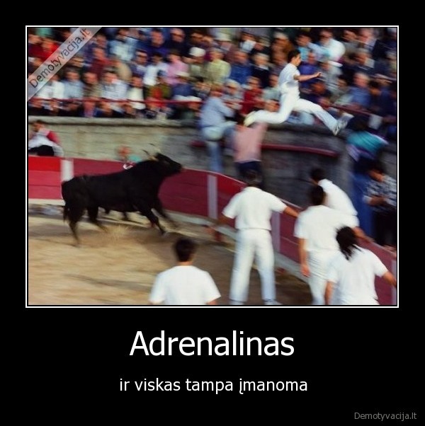 adrenalinas