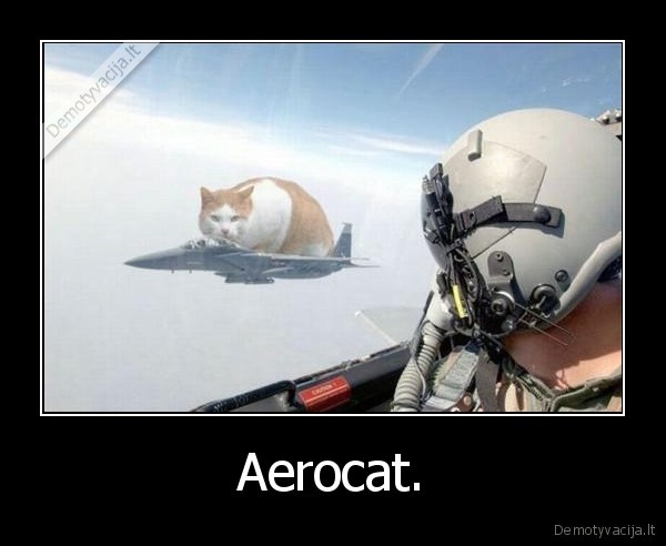 Aerocat.