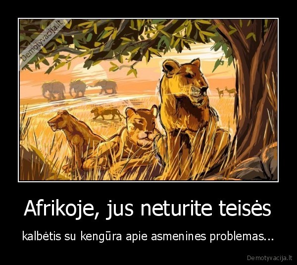 afrika,kenguros,austarlija,fail