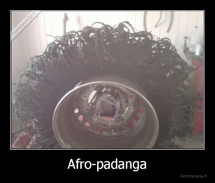 afro,padangos,padanga,rasizmas