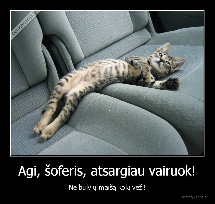 soferis,atsargiau, vairuok,ne, bulviu, maisa, vezi,bulves,vairuotojas