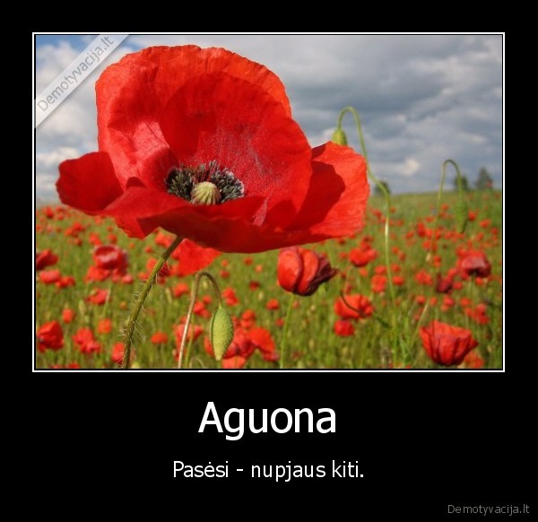 Aguona