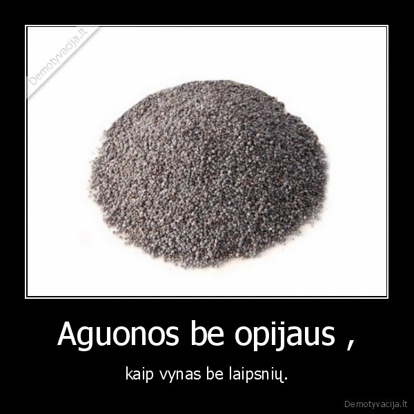 vynas,aguonos,opiumas,kucios