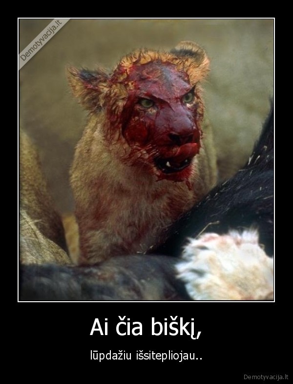 Ai čia biškį,