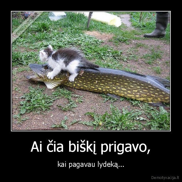 Ai čia biškį prigavo,
