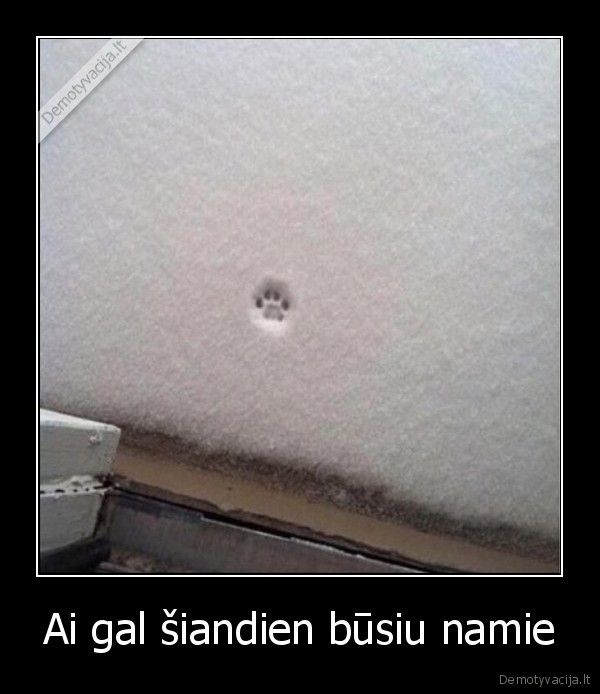 Ai gal šiandien būsiu namie