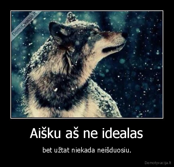 idelas,isduoti,patikimas,istikimas