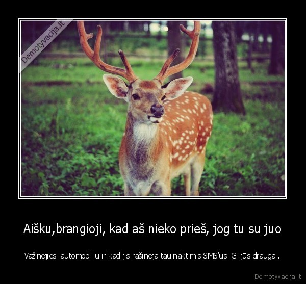 draugas,panele,vaikinas,santykiai