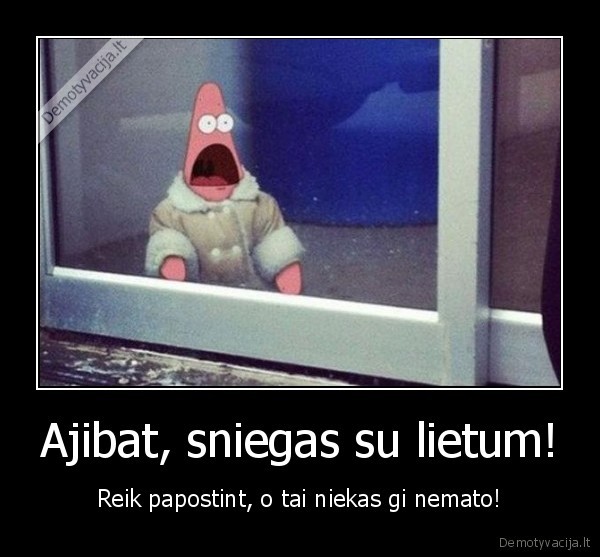 facebook, sniegas,pirmasis, sniegas