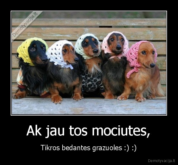 gyvunai,mociutes,bedantes,grazuoles