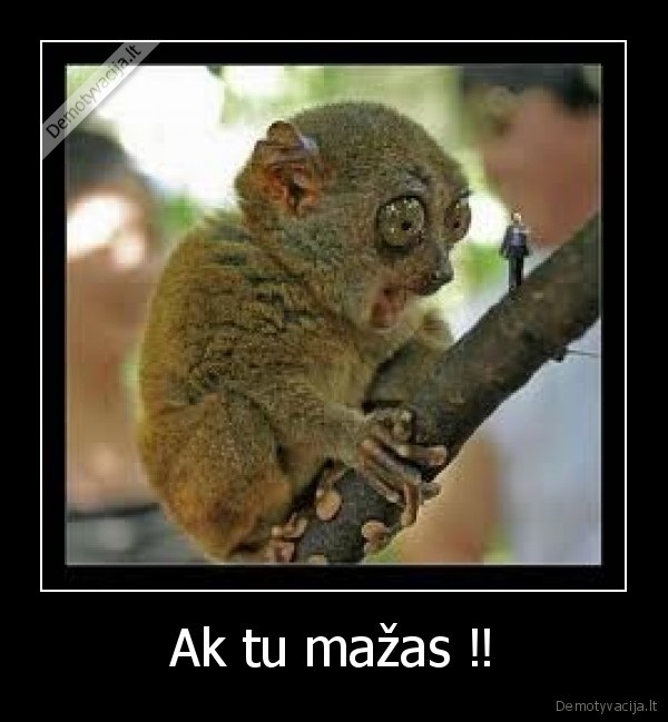 Ak tu mažas ‼