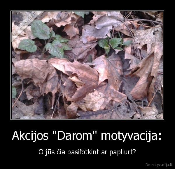 Akcijos &quot;Darom&quot; motyvacija: