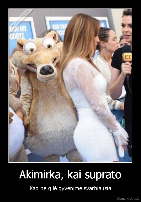 gera, sikna,ledynmetis