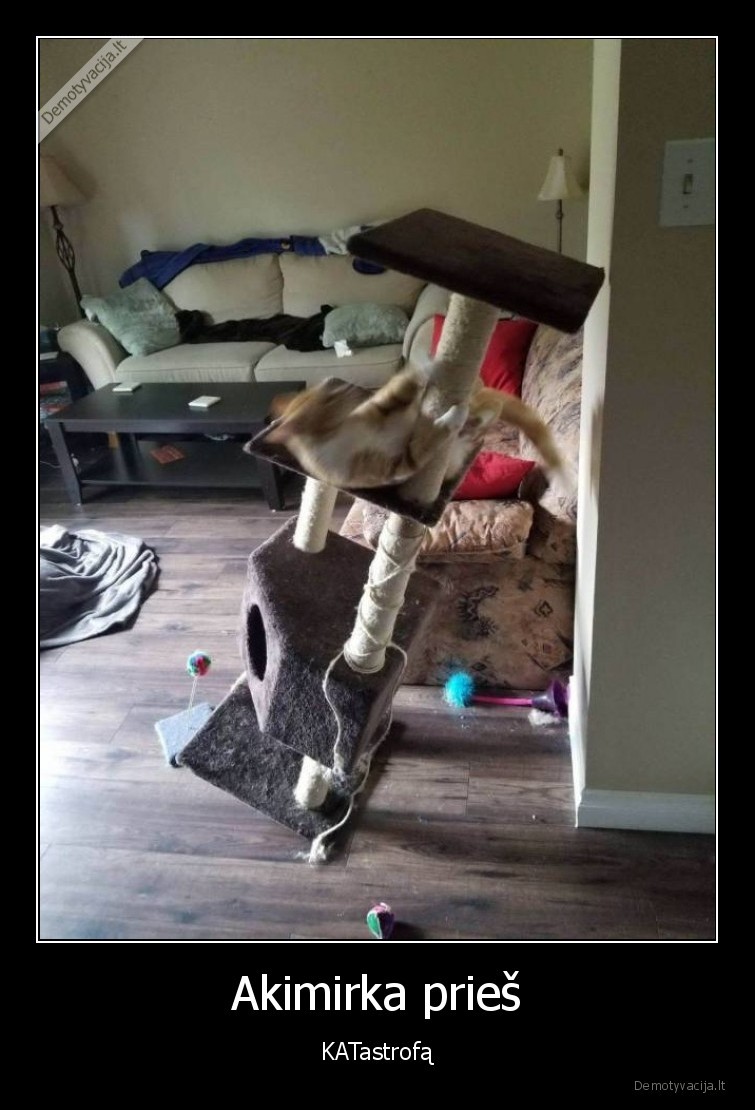 akimirka,cat,katastrofa,katinas