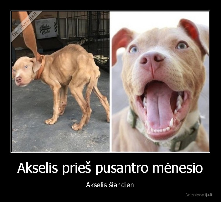 suo,pries,po,atsistatymas