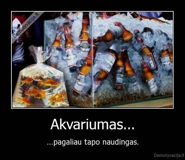 Akvariumas...