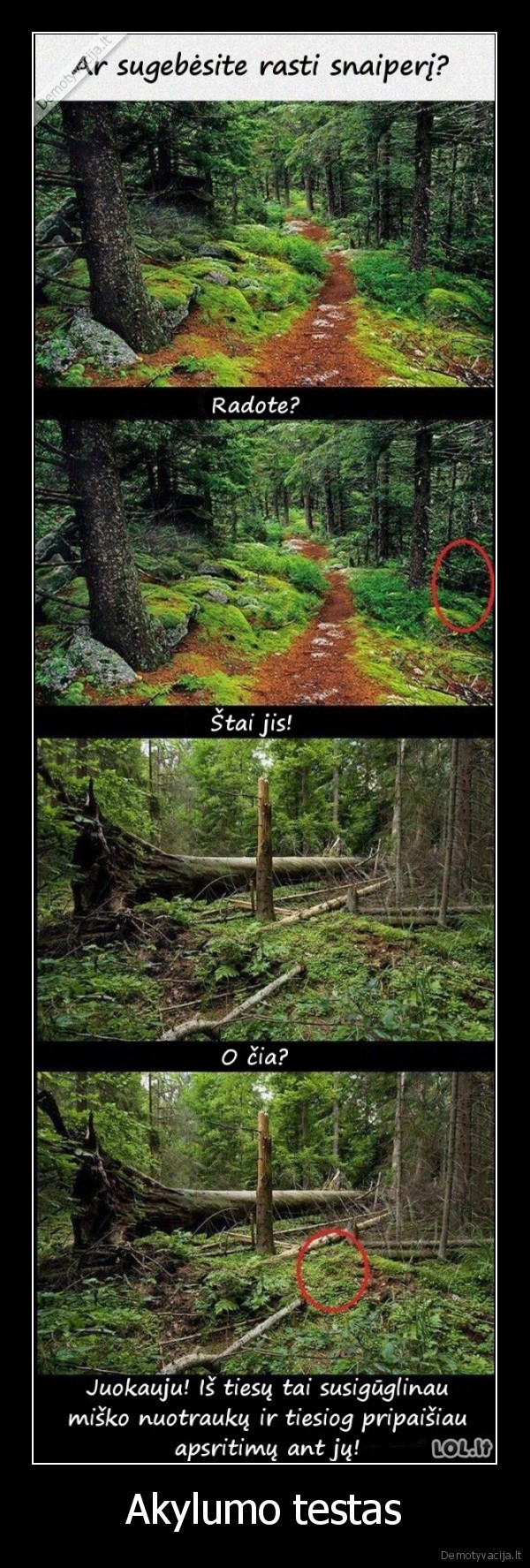 snaiperiai,juokingas, testas,miskas