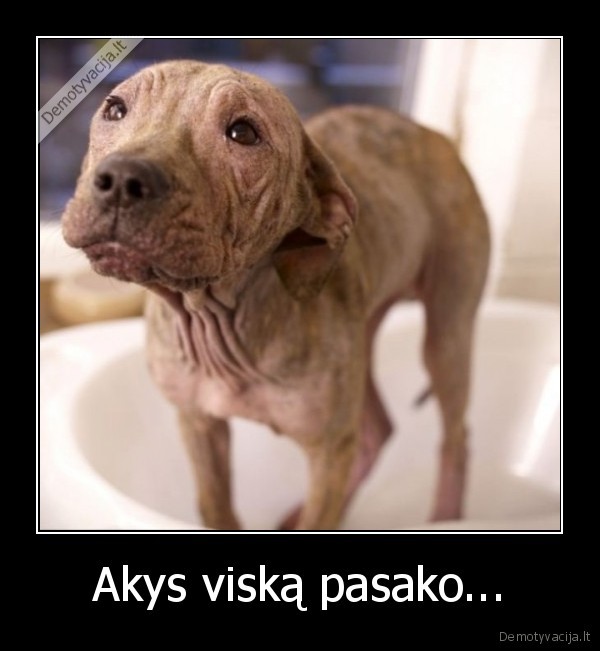 Akys viską pasako...
