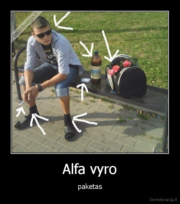 alfa,vyras