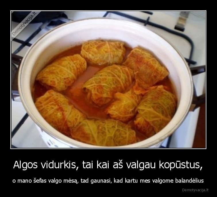 alga,vidurkis,kopustai,mesa,balandeliai