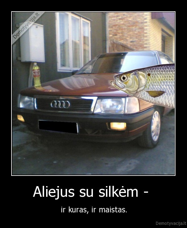 silke,audi, 100,aliejus,kuras,maistas