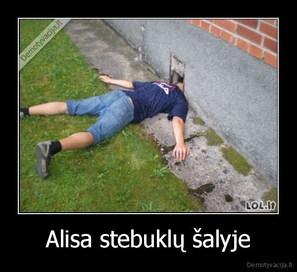 Alisa stebuklų šalyje