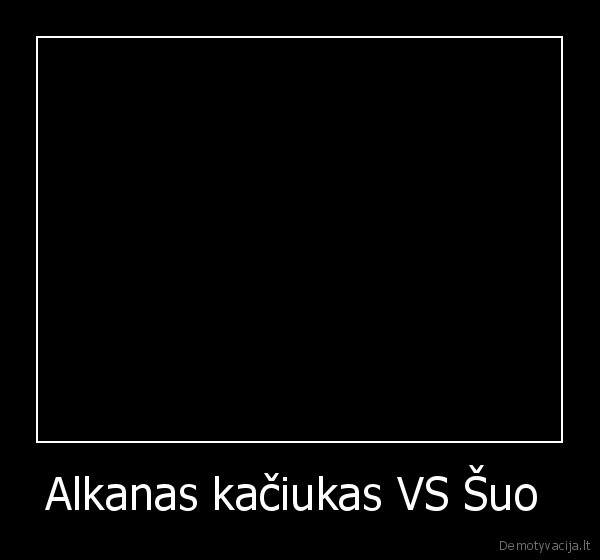 Alkanas kačiukas VS Šuo 