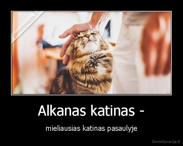 Alkanas katinas -