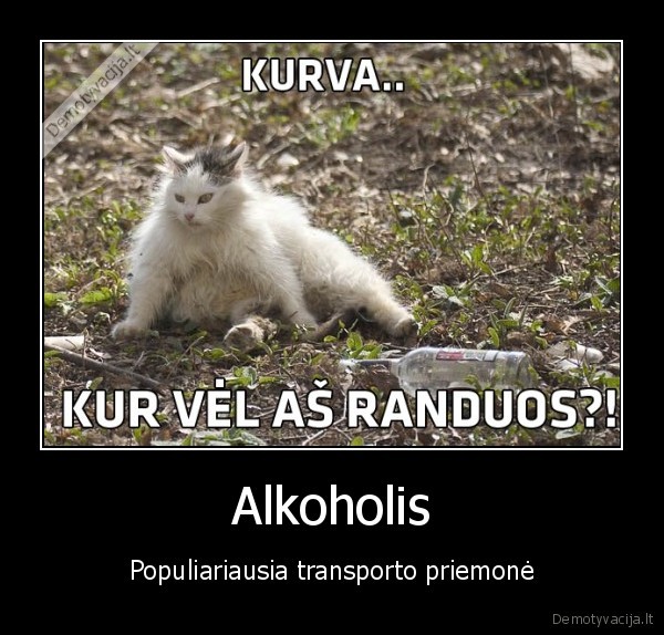 Alkoholis