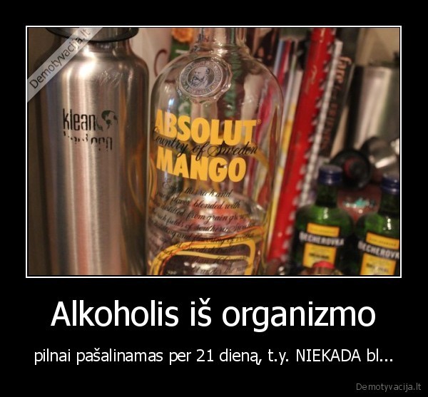 Alkoholis iš organizmo