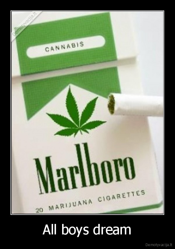 nori,parukyt,legaliu,kanapiu