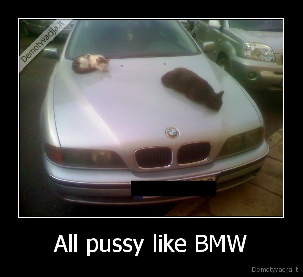 pyssy, bmw