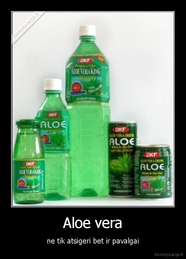 Aloe vera