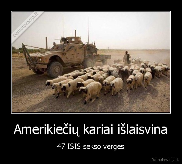 sekso, verges,avys,zoofilai