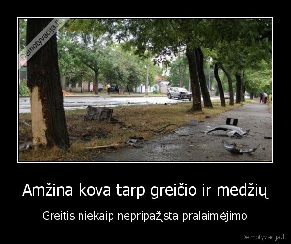 Amžina kova tarp greičio ir medžių
