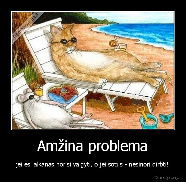 cat,mouse,beach,kate,pele