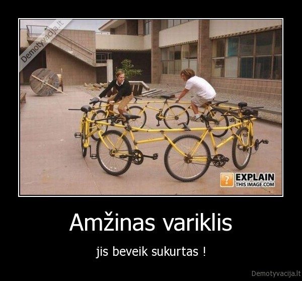 zuoko, orandziniai, dviraciai