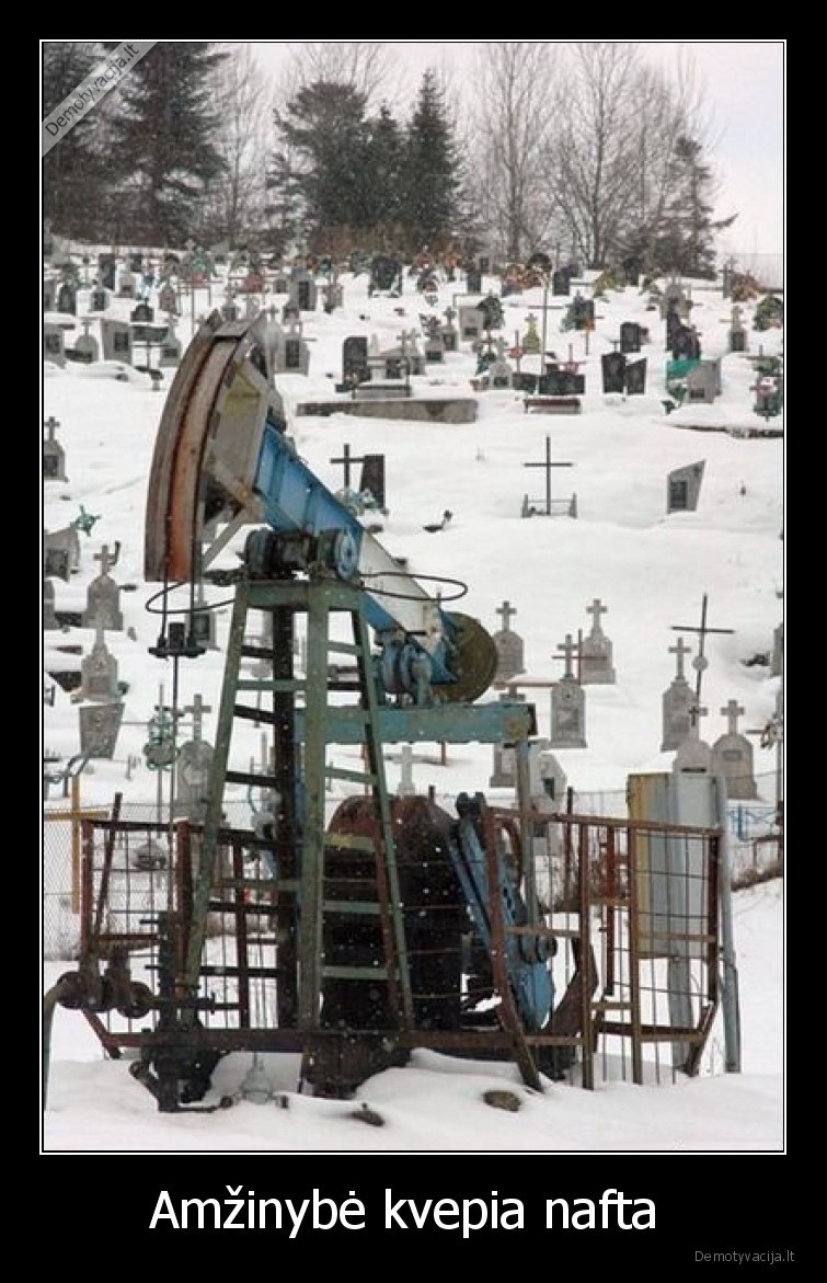 amzinybe,nafta,kapines