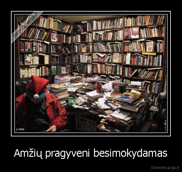 Amžių pragyveni besimokydamas