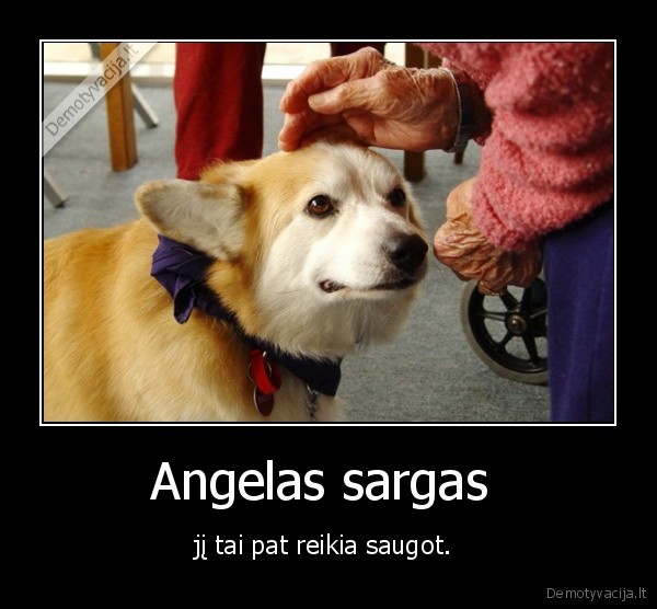draugyste,angelas