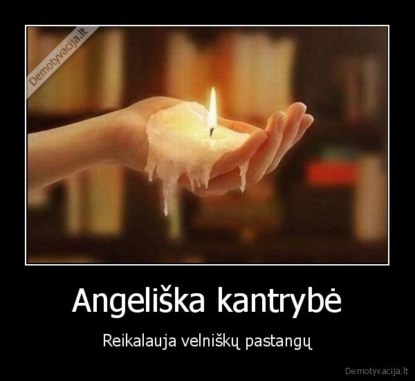 Angeliška kantrybė