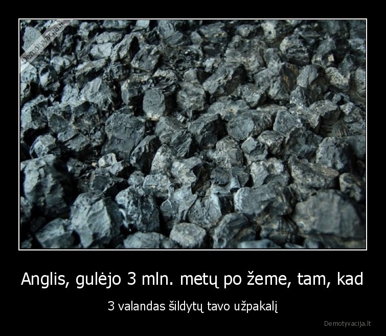 anglis,sildo,3, valandas