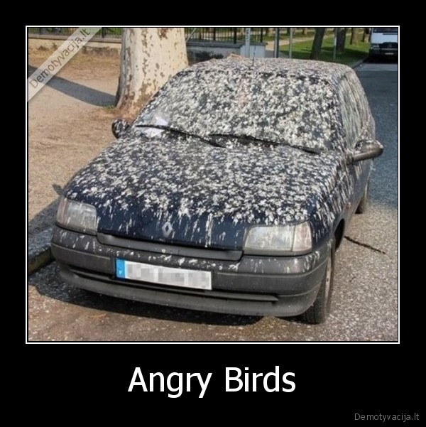 Angry Birds