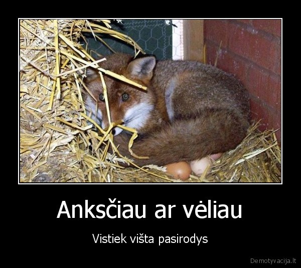 lape, ant, kiausiniu,vistos, kiausiniai