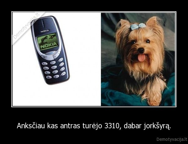 3310, jorksyras
