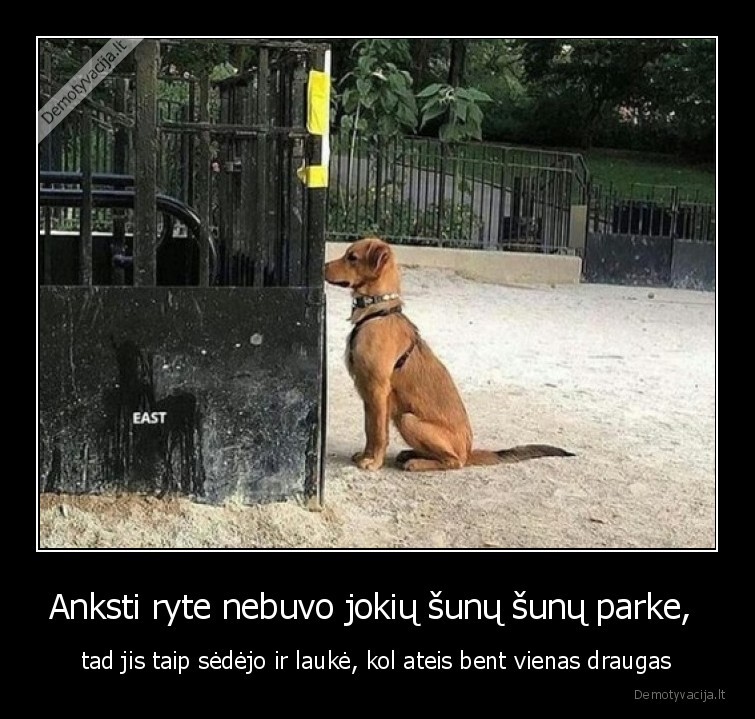 suo,sunu, parkas,parkas