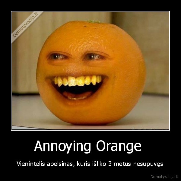 annoying, orange,anoyng, orange,annoying, orange,aplesinas,apelsinai,anoing