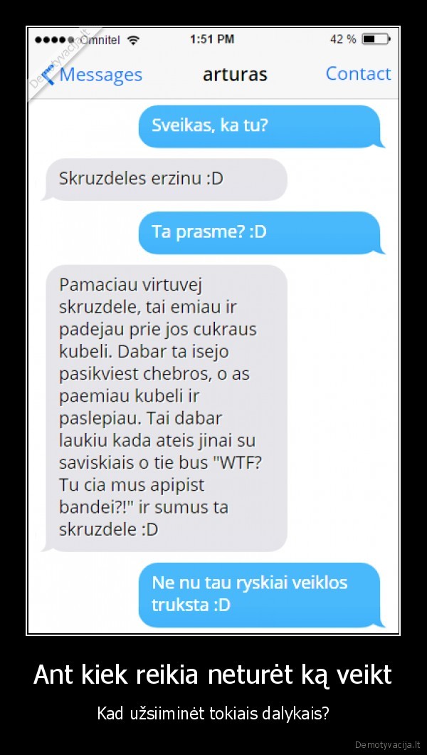 skruzdeles,mustynes,prikolas