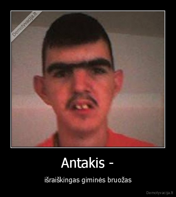 minusas,grincas,kubilius